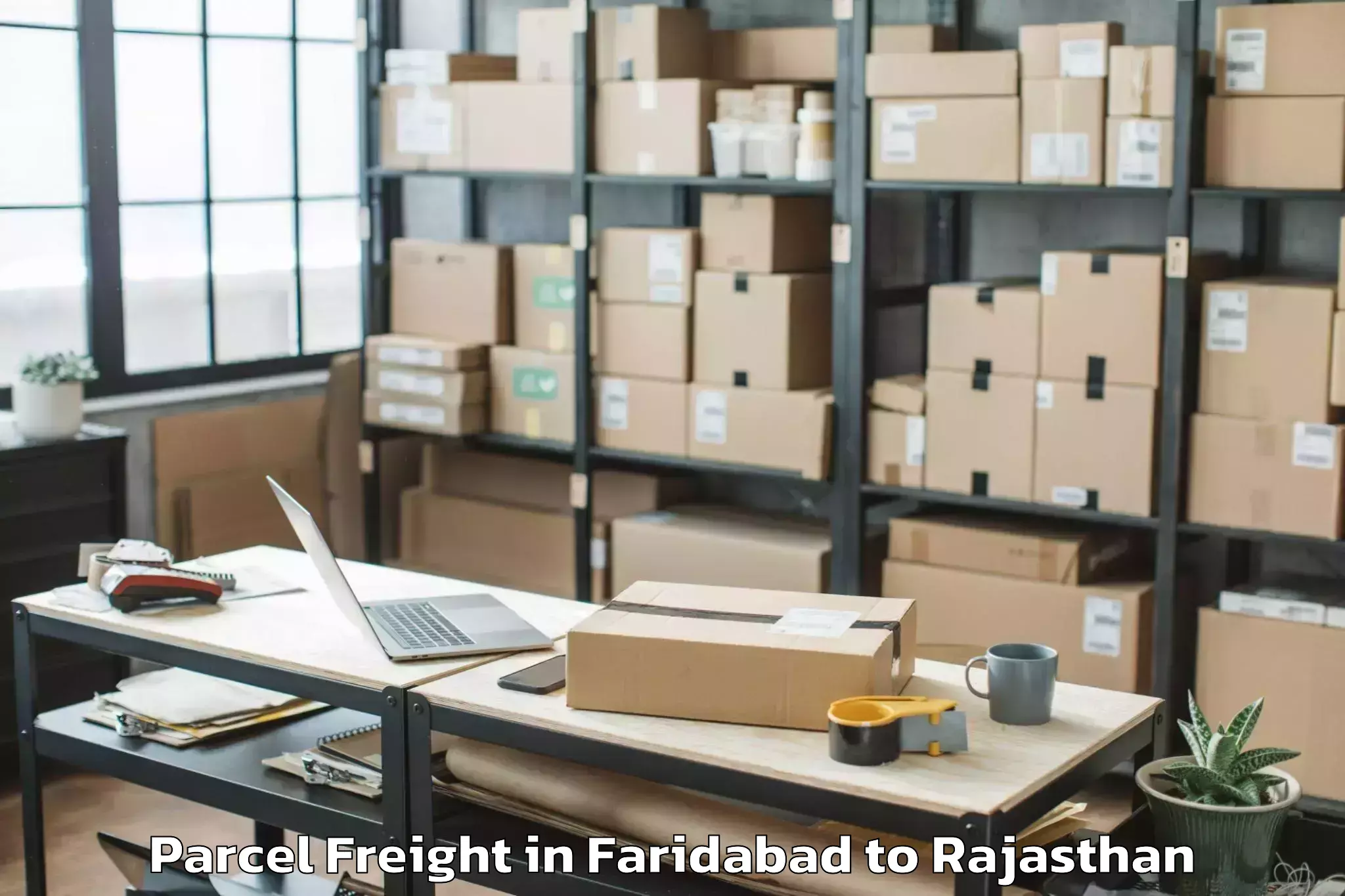 Trusted Faridabad to Banswara Parcel Freight